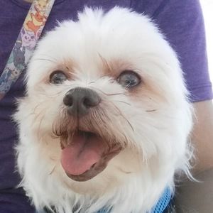 Meet your Posher, Sherri